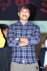 Loukyam Movie Audio Success Function